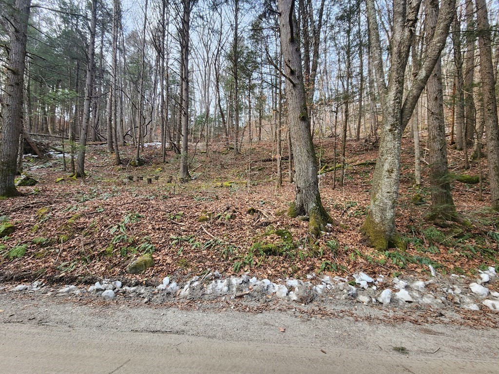0 North Green River Road Colrain, MA 01340 - Photo 1 of 11 a backyard of a house with lots of green space