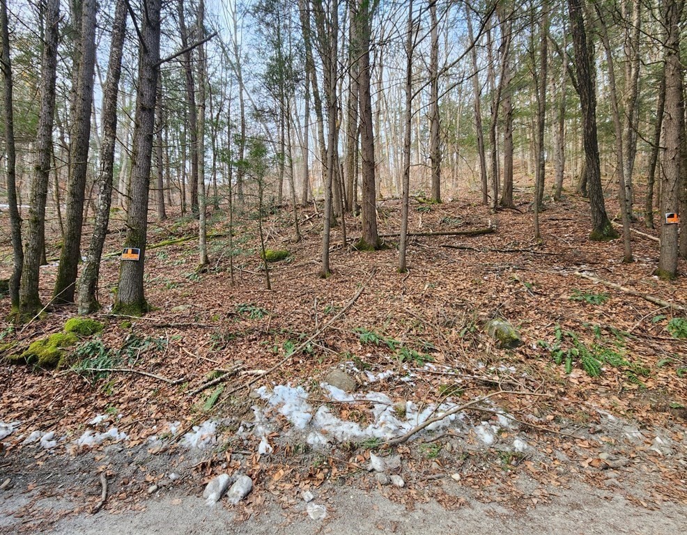 0 North Green River Road Colrain, MA 01340 - Photo 2 of 11 a backyard of a house with lots of green space
