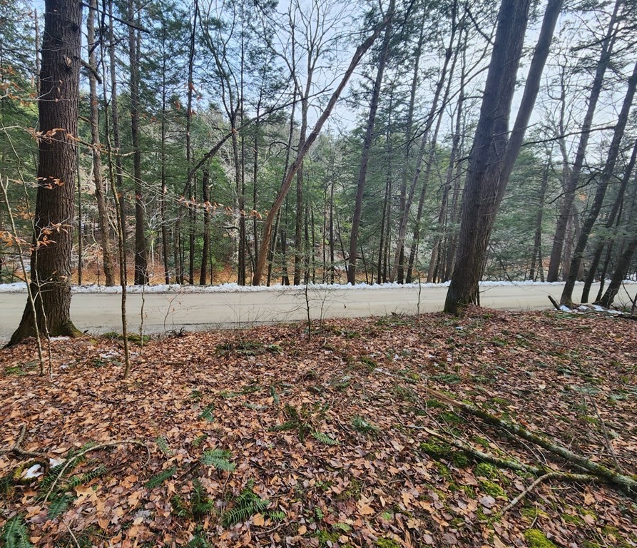 0 North Green River Road Colrain, MA 01340 - Photo 7 of 11 a view of outdoor space with trees
