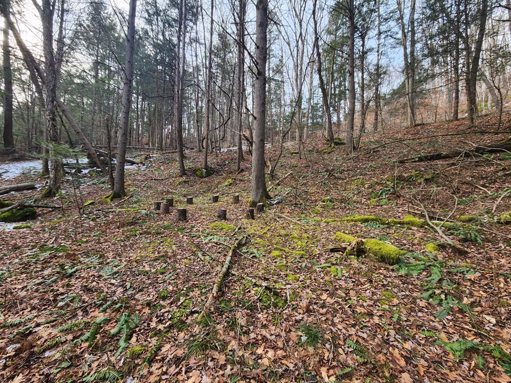0 North Green River Road Colrain, MA 01340 - Photo 8 of 11 a backyard of a house with lots of green space