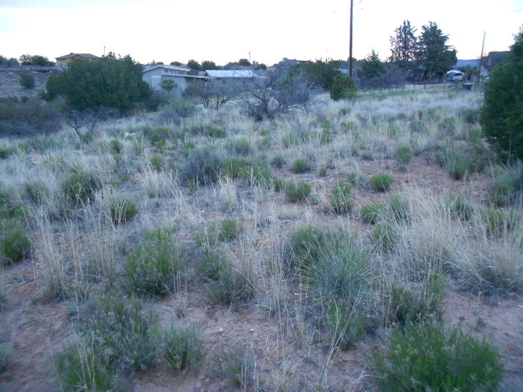 4301 North Ute Rimrock, AZ 86335 - Photo 16 of 19 DSCN2199