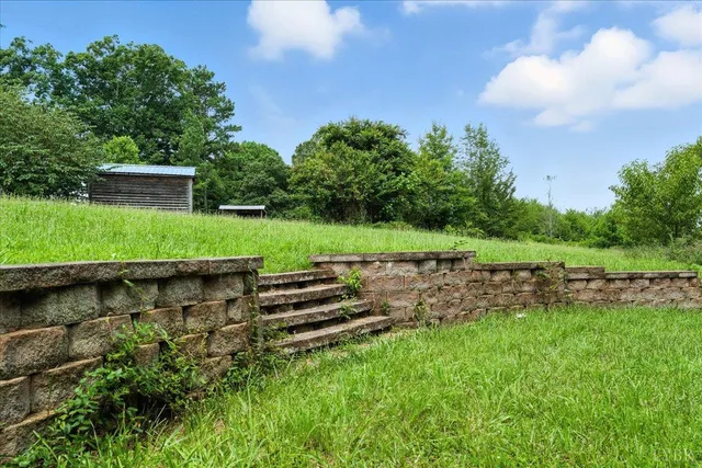 a view of a yard with a yard