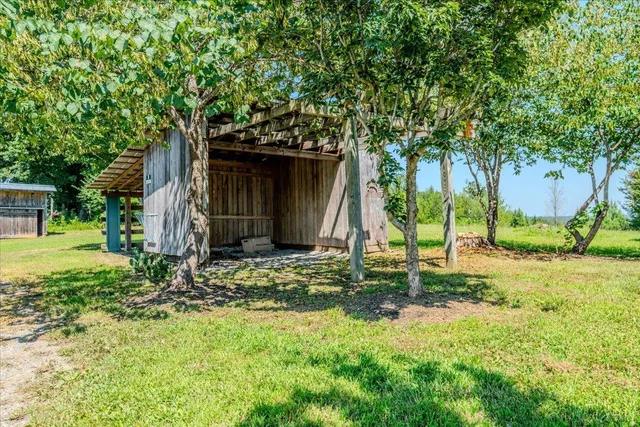a view of a backyard with plants and large tree