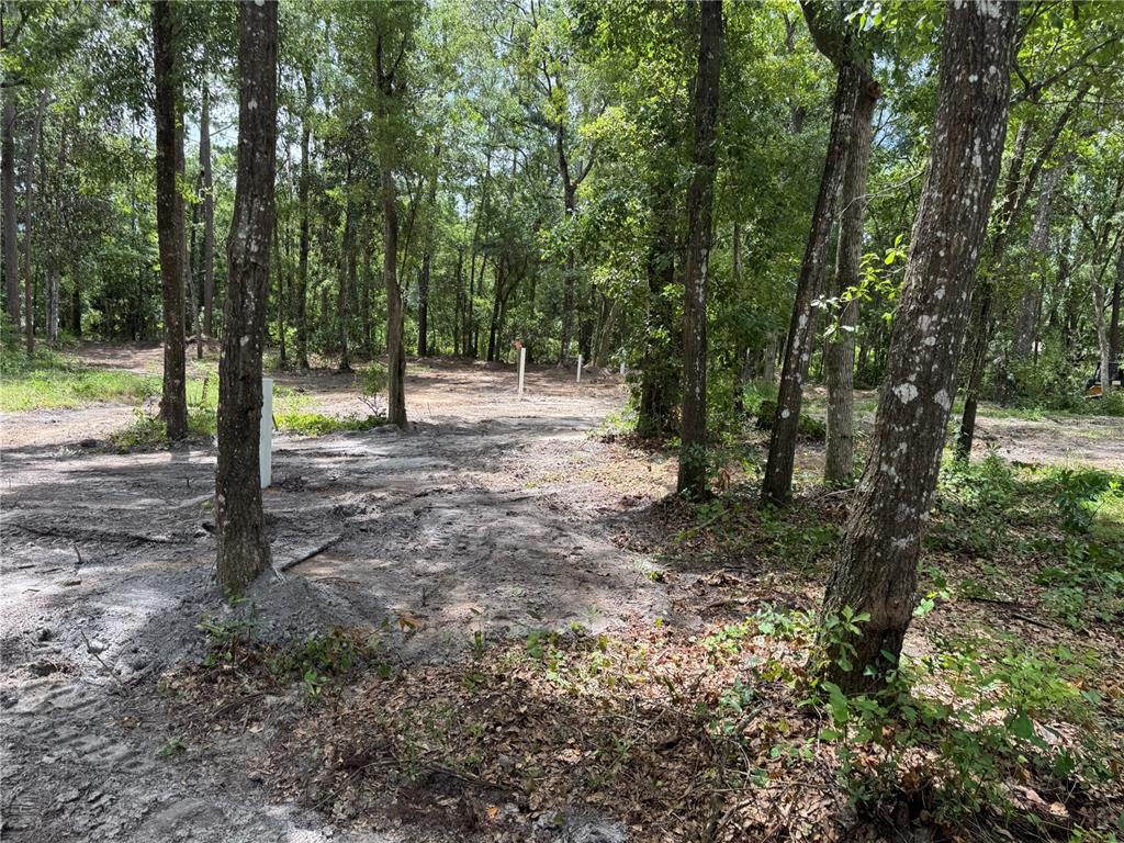Tbd Waldo, FL 32694 - Photo 14 of 17