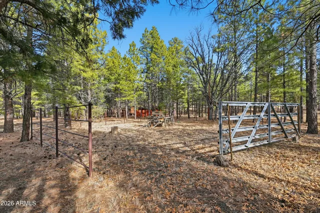 $589,000 | 4583 Cinch Circle, Happy Jack, AZ 86024