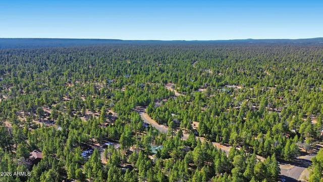 $589,000 | 4583 Cinch Circle, Happy Jack, AZ 86024