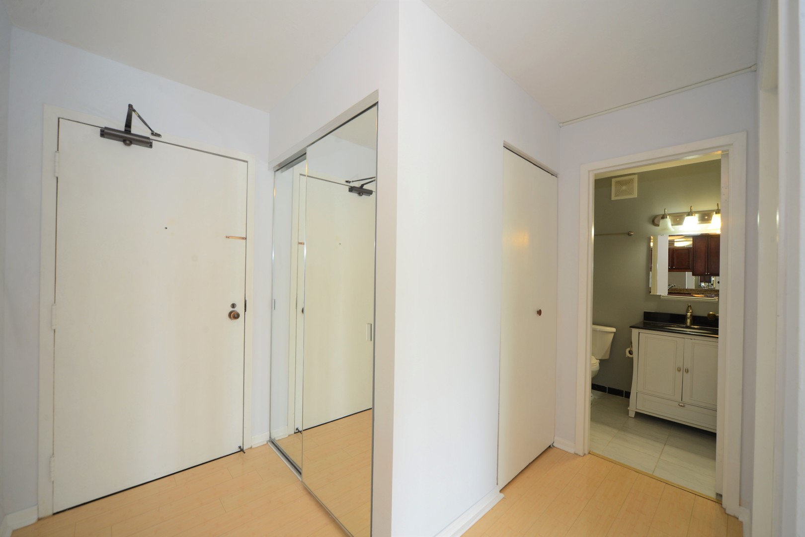 33 West Delaware Place, Unit 10D Chicago, IL 60610 - Photo 9 of 10
