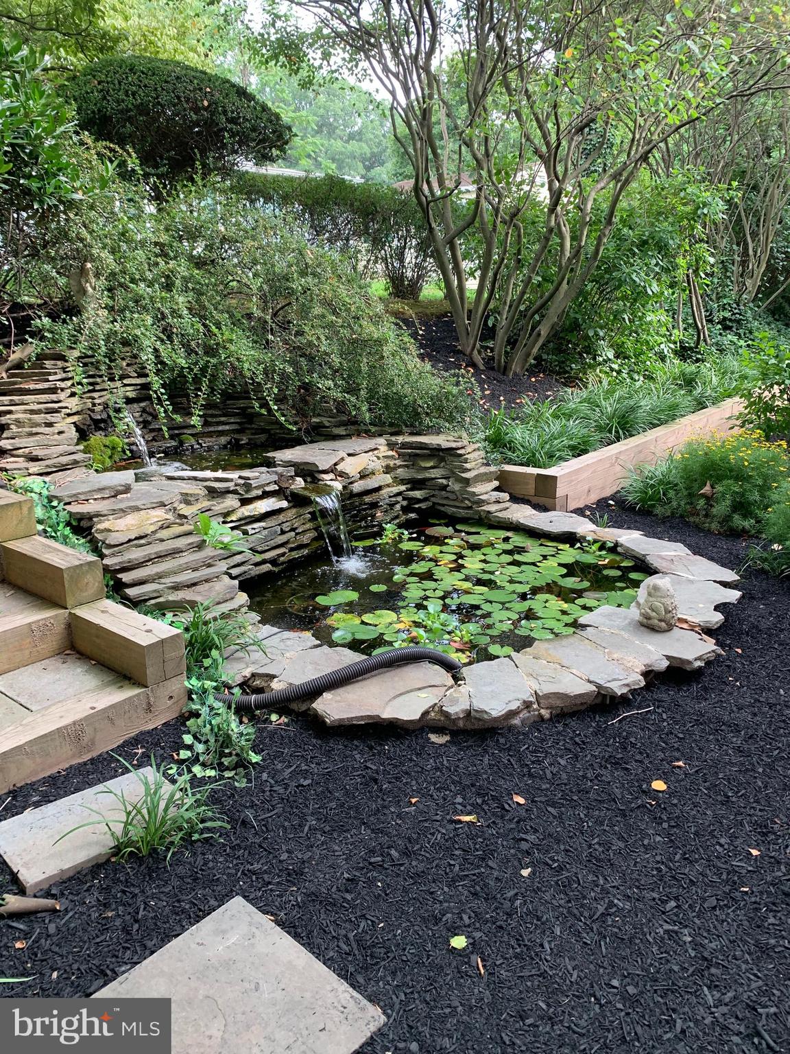 726 Llanfair Road Jenkintown, PA 19046 - Photo 11 of 41 Water Feature in Springtime