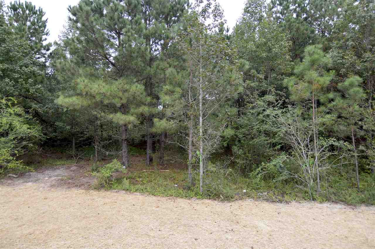 1030 Massengill Pond Road Angier, NC 27501 - Photo 23 of 23 Photo 23
