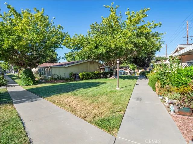 a view of park with large trees