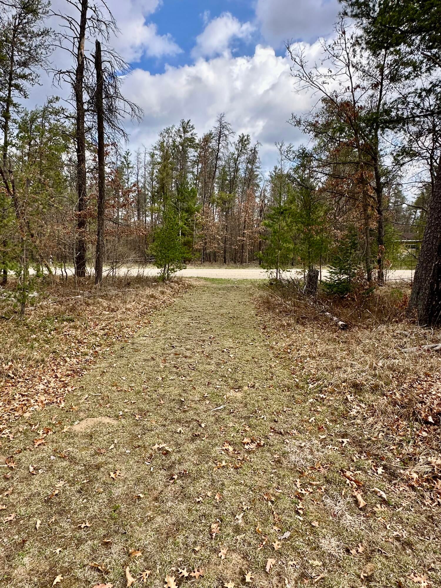11030 South Stephan Bridge Road Roscommon, MI 48653 - Photo 51 of 59 Gallery Image 51