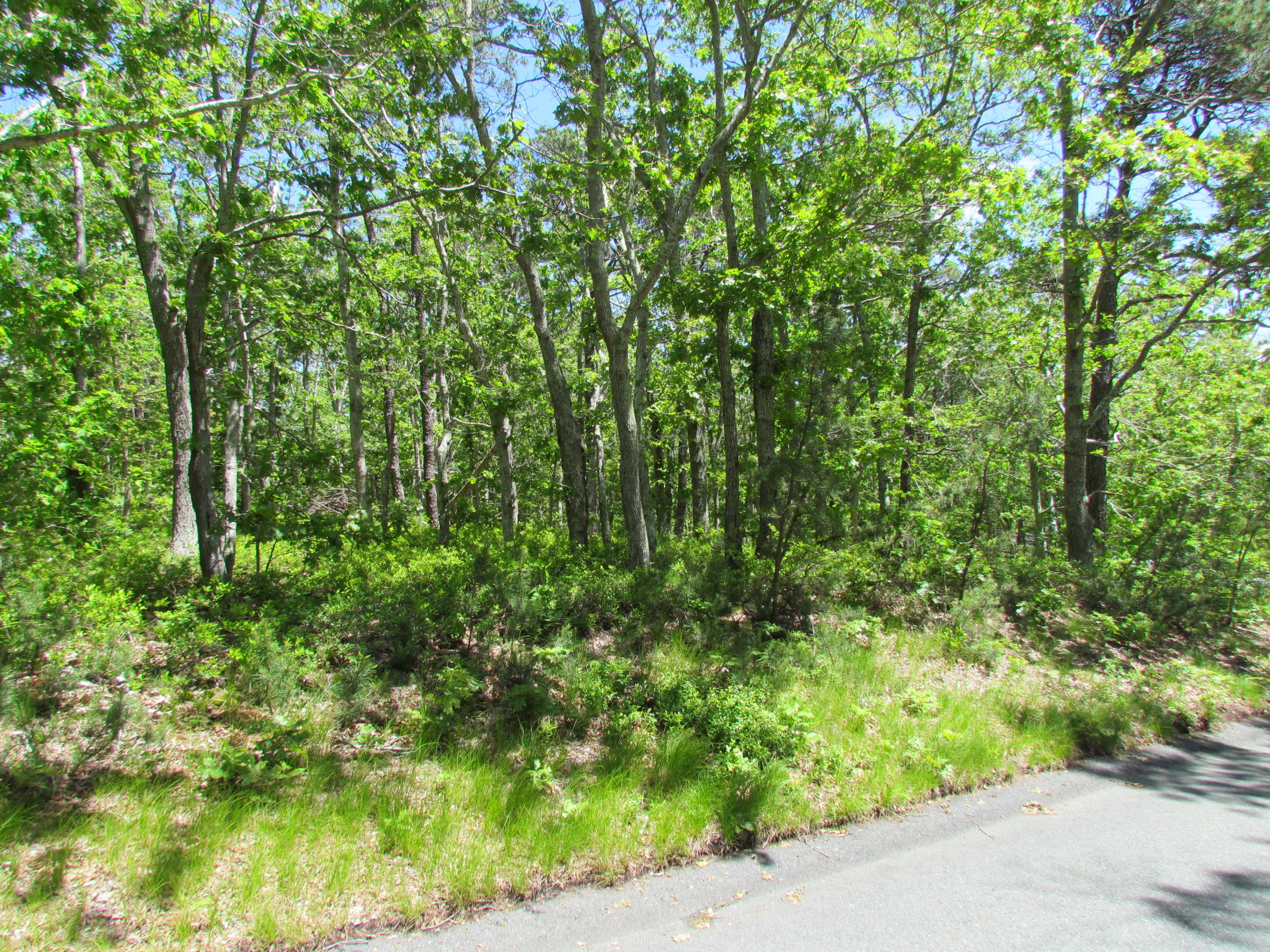 60 Oak Ridge Drive Wellfleet, MA 02667 - Photo 2 of 7 a view of a garden