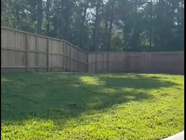 a view of a back yard