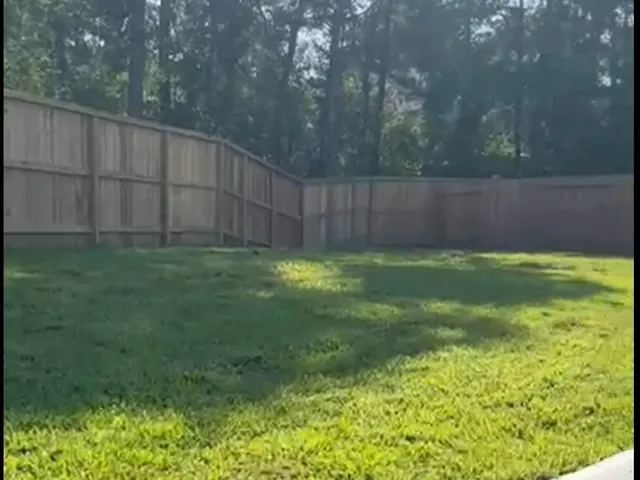 a view of a back yard