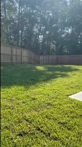 a view of a yard with a large tree