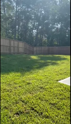 a view of a yard with a large tree