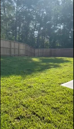 a view of a yard with a large tree