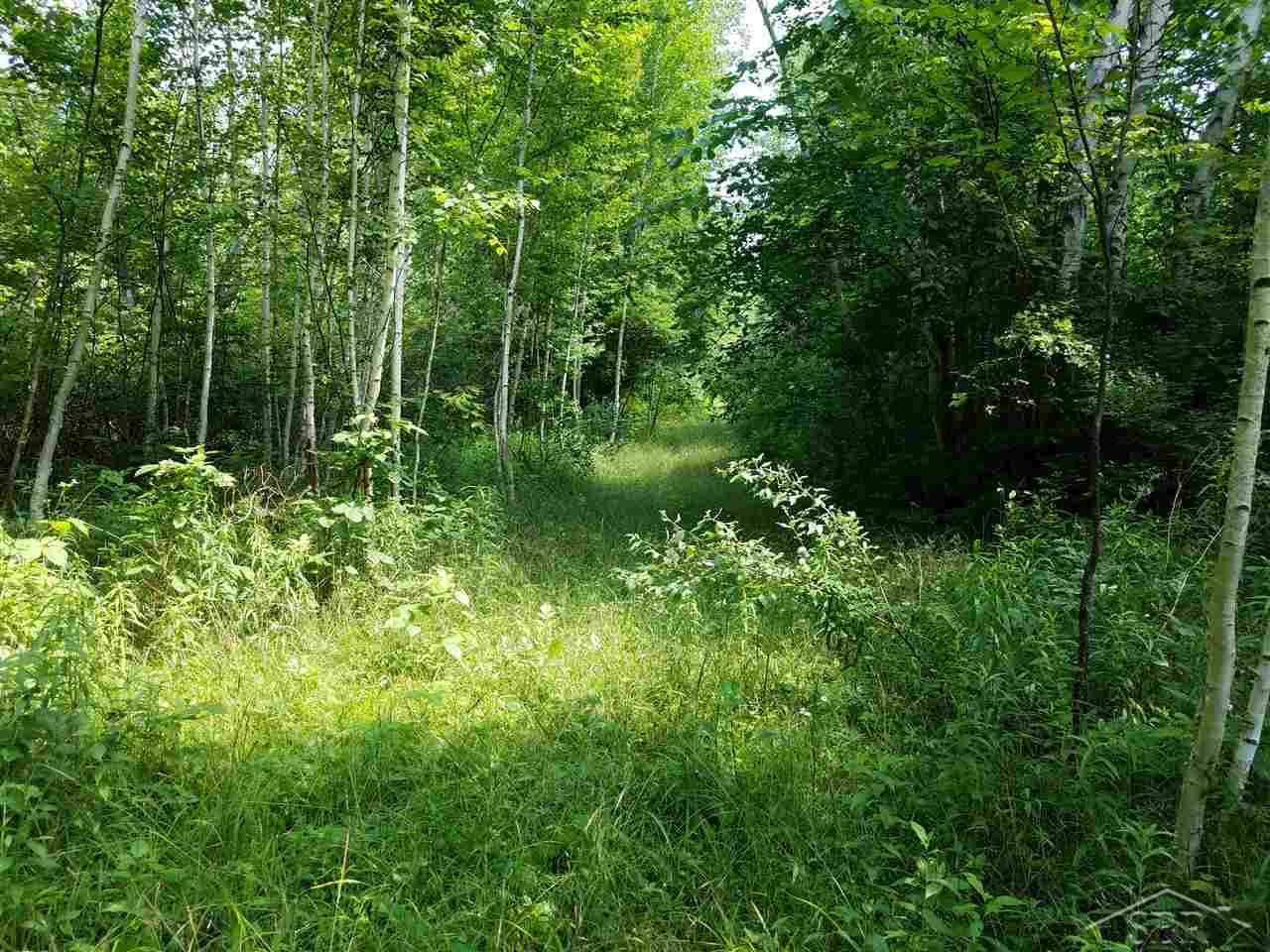 5520 Rossman Road Kingston, MI 48741 - Photo 49 of 71 Gallery Image 49