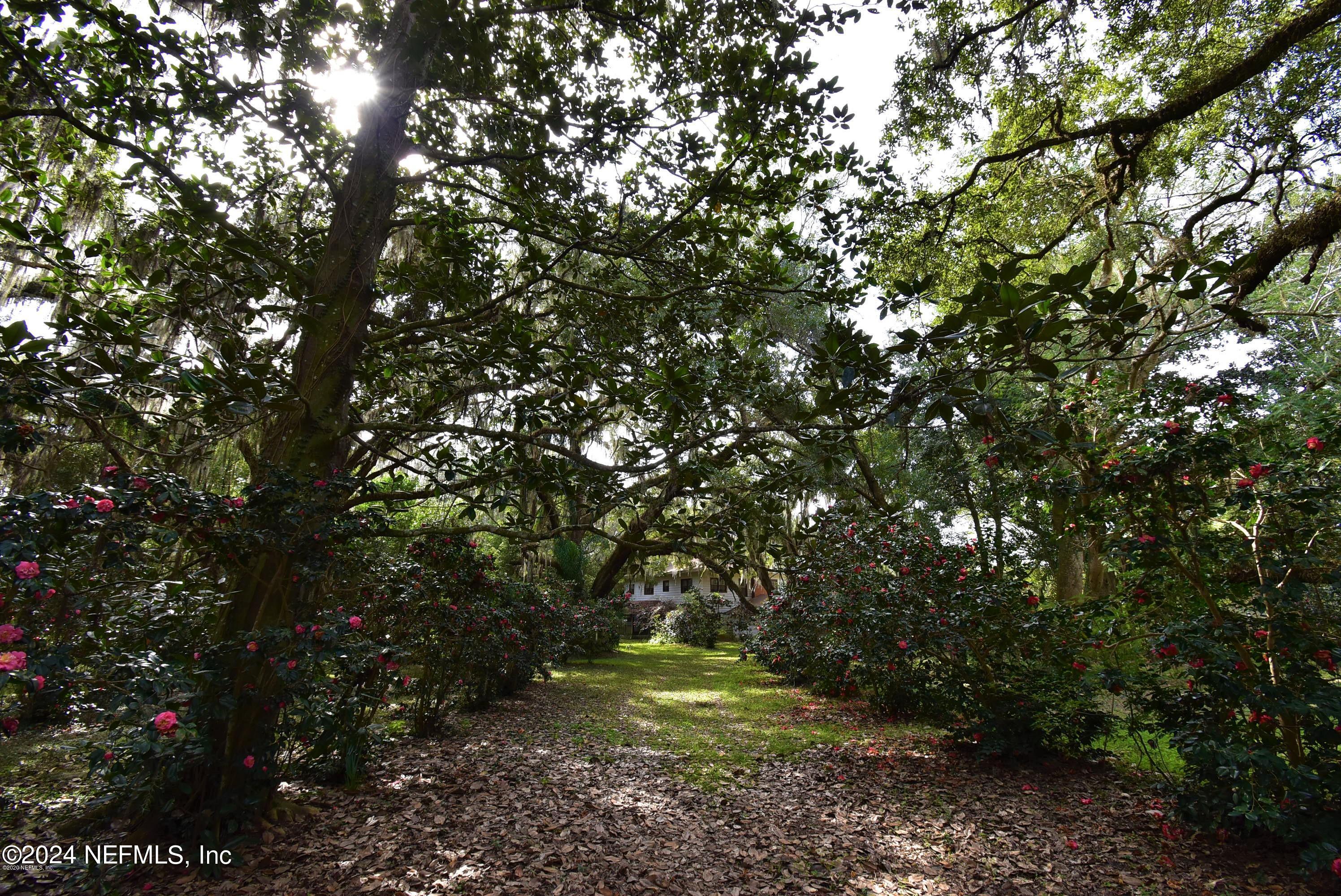 beautiful view of yard