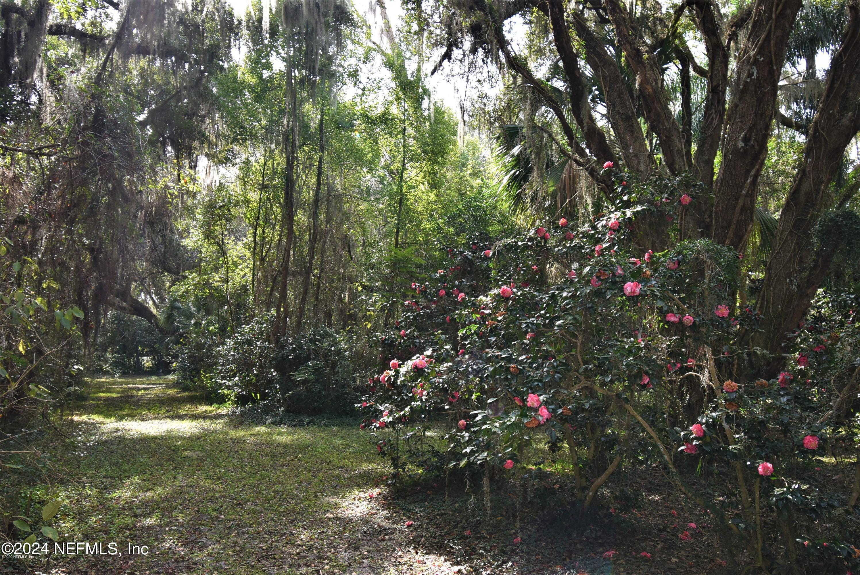 209 Carrier Road Crescent City, FL 32112 - Photo 8 of 9 camillia's
