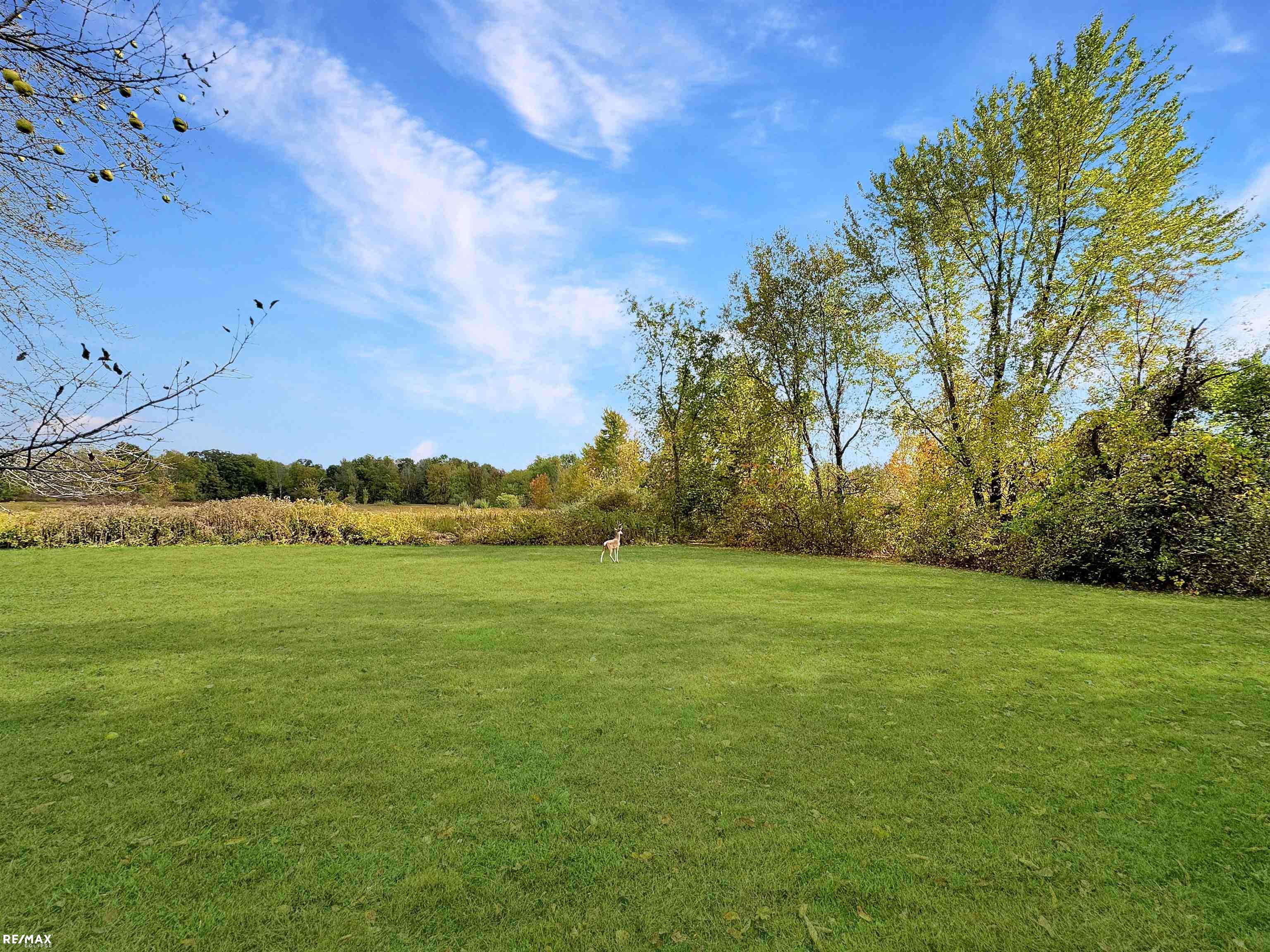 79700 Hipp Road Romeo, MI 48065 - Photo 42 of 47