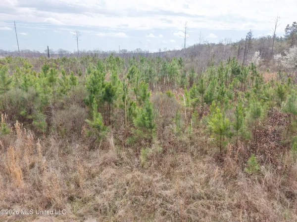 $200,000 | 2 Reed Road, Starkville, MS 39759