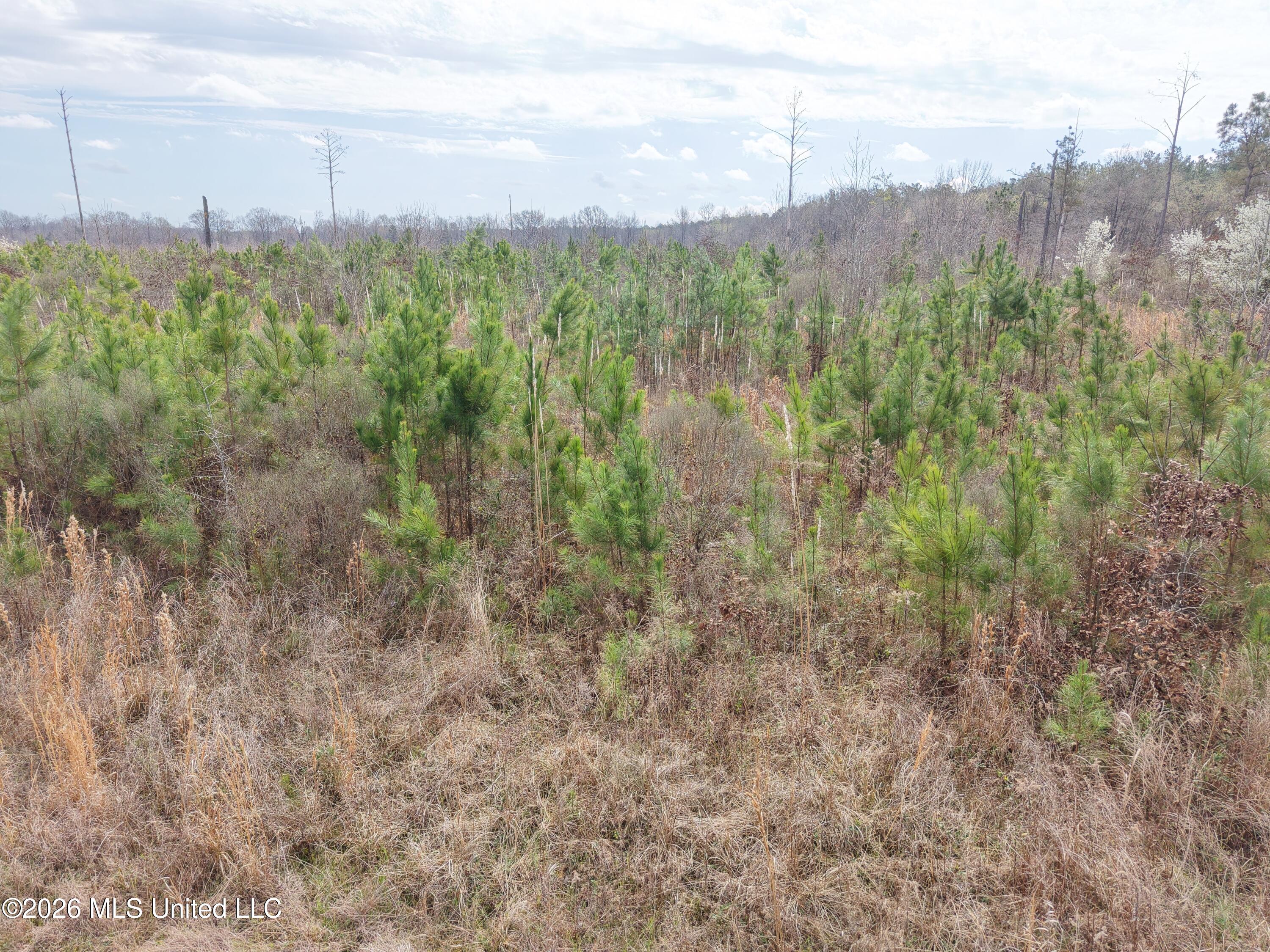 2 Reed Road Starkville, MS 39759 - Photo 3 of 12 3