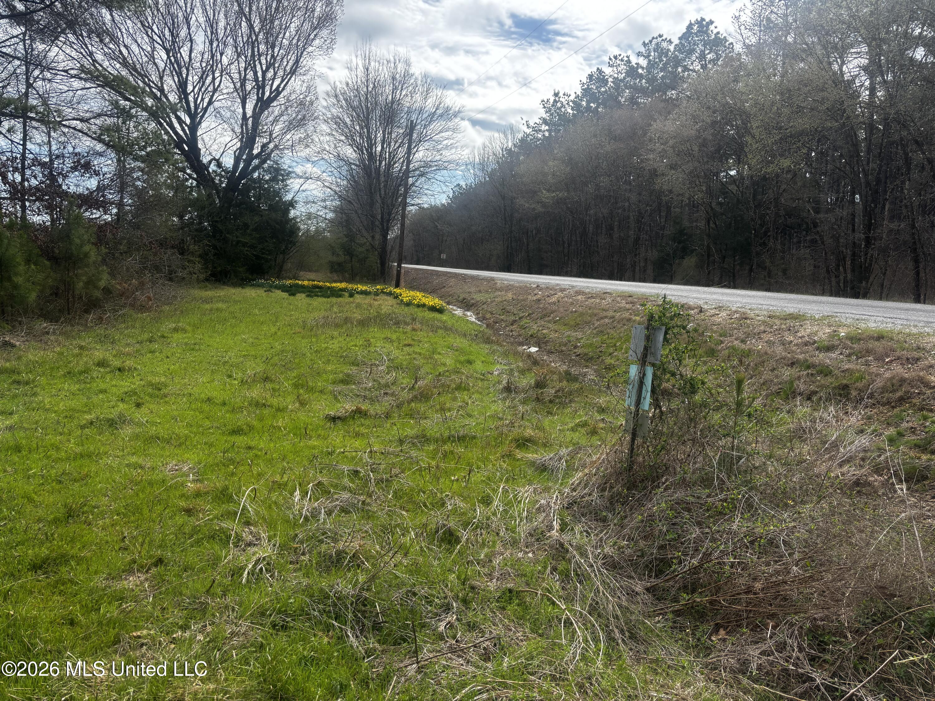 2 Reed Road Starkville, MS 39759 - Photo 8 of 12 8