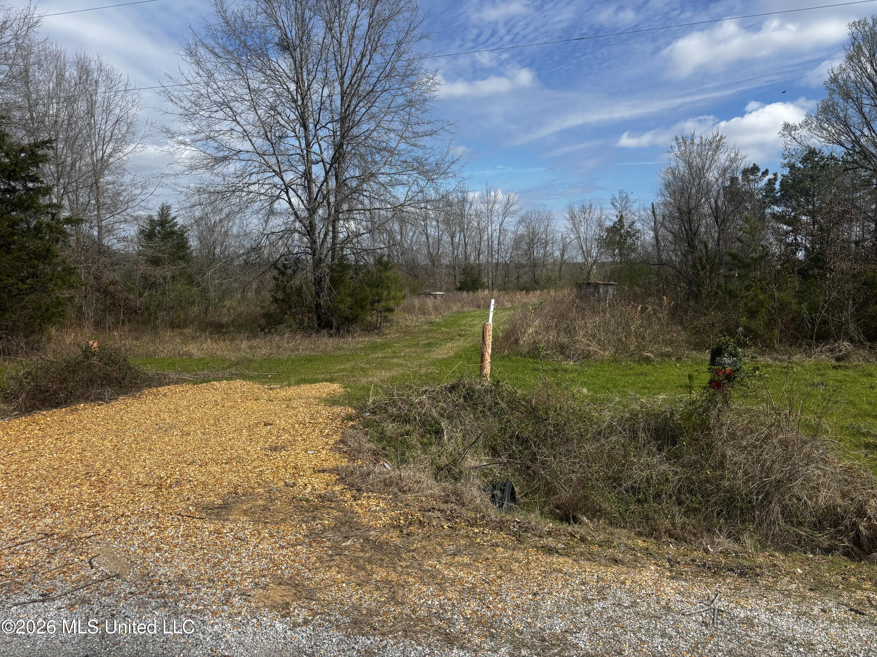 2 Reed Road Starkville, MS 39759 - Photo 9 of 12 9