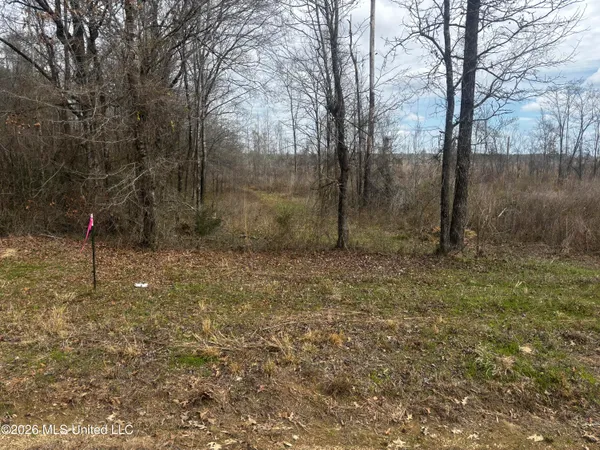 $200,000 | 2 Reed Road, Starkville, MS 39759