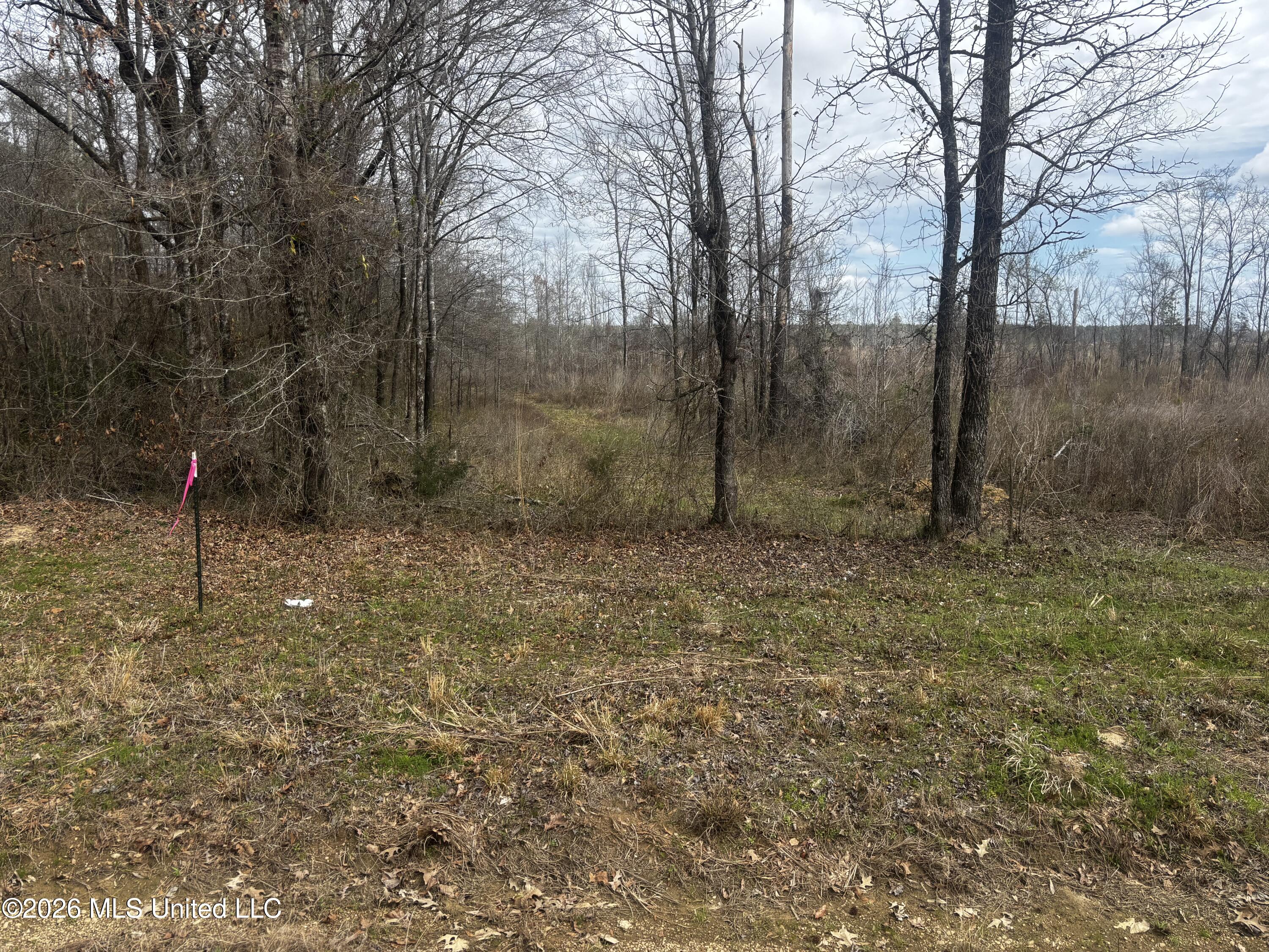 2 Reed Road Starkville, MS 39759 - Photo 10 of 12 10