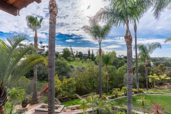 3097 Green Heather Lane Fallbrook, CA 92028 - Photo 28 of 37 a view of a yard and palm trees
