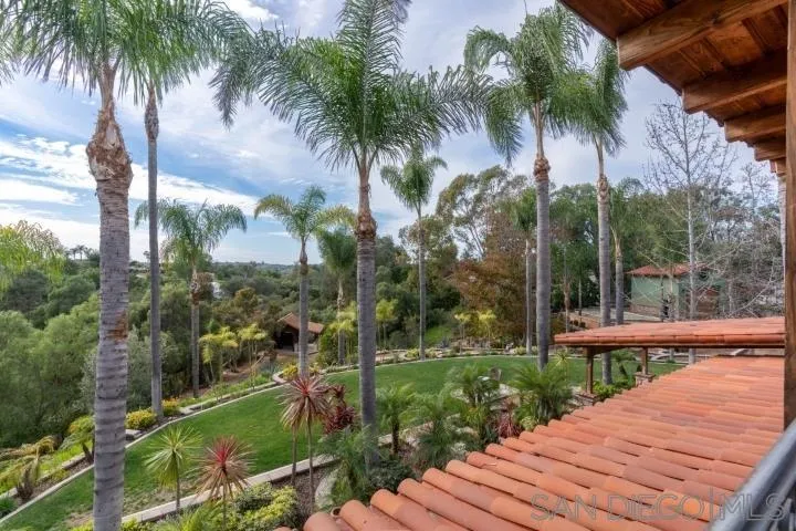 3097 Green Heather Lane Fallbrook, CA 92028 - Photo 29 of 37 a view of a yard with palm trees
