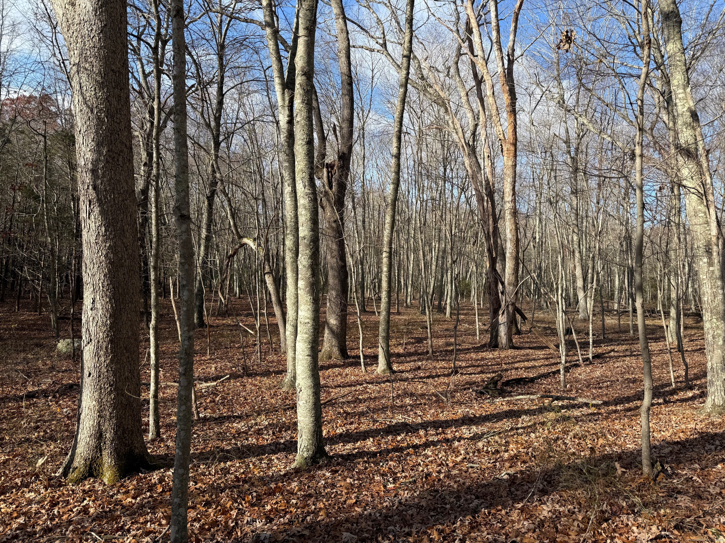 Chesterfield Road East Lyme, CT 06333 - Photo 4 of 9 a backyard of a house with lots of green space