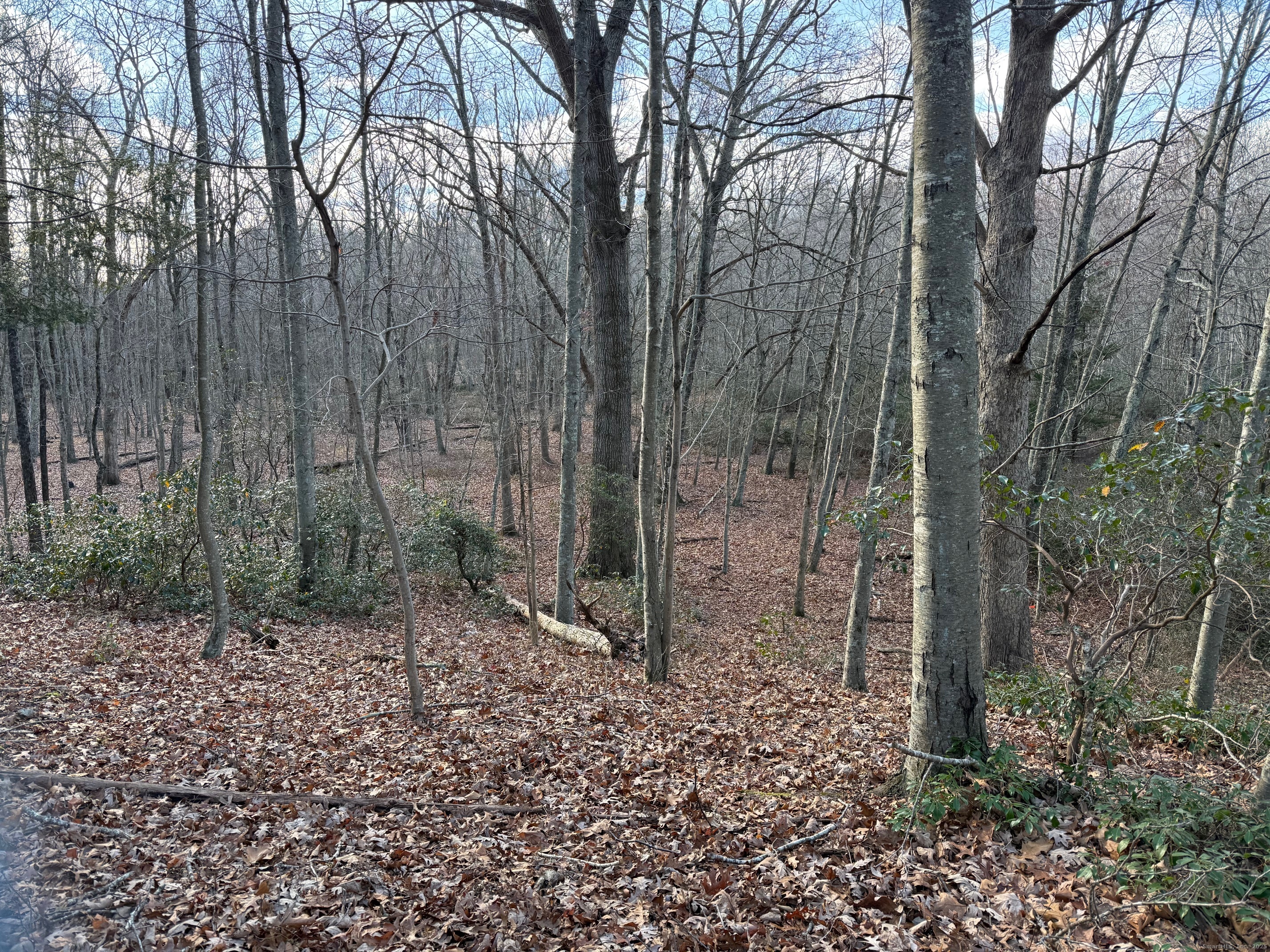Chesterfield Road East Lyme, CT 06333 - Photo 6 of 9 a backyard of a house with lots of green space