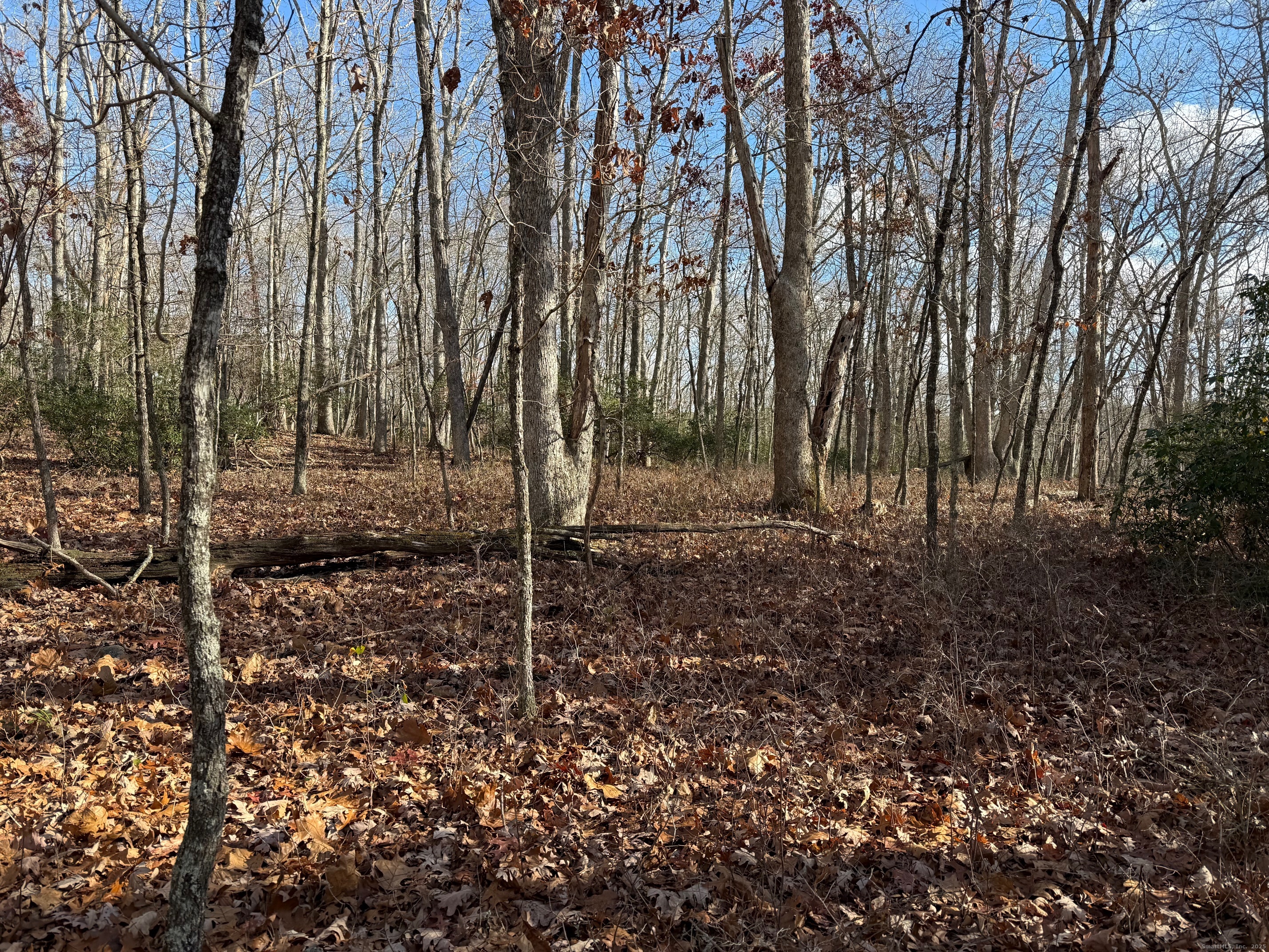 Chesterfield Road East Lyme, CT 06333 - Photo 7 of 9 a view of a backyard with trees