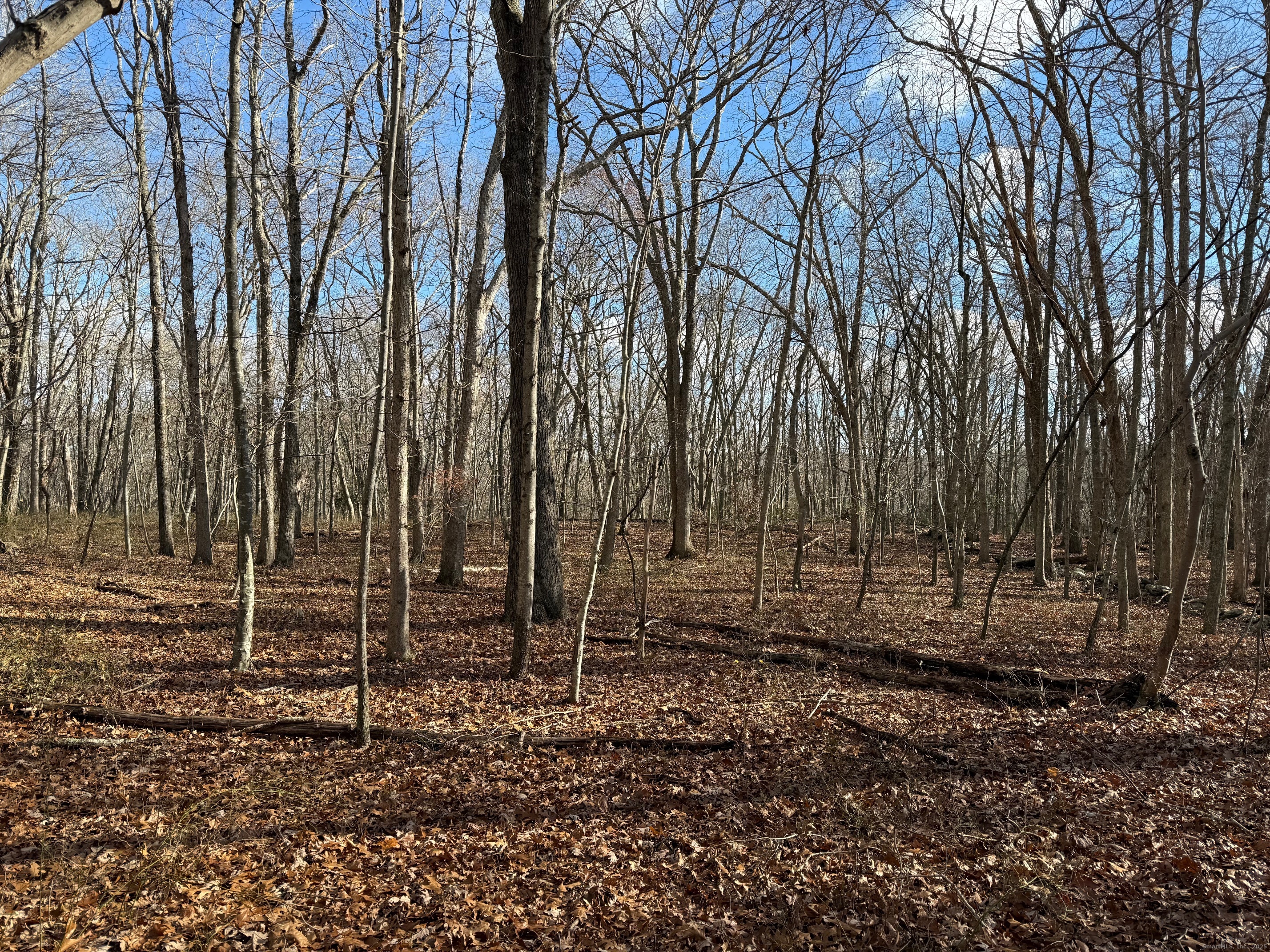 Chesterfield Road East Lyme, CT 06333 - Photo 9 of 9 a view of backyard with trees