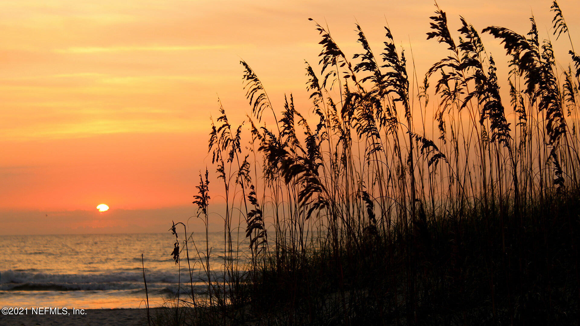 65696 Edgewater Drive Yulee, FL 32097 - Photo 43 of 44 a view of lake