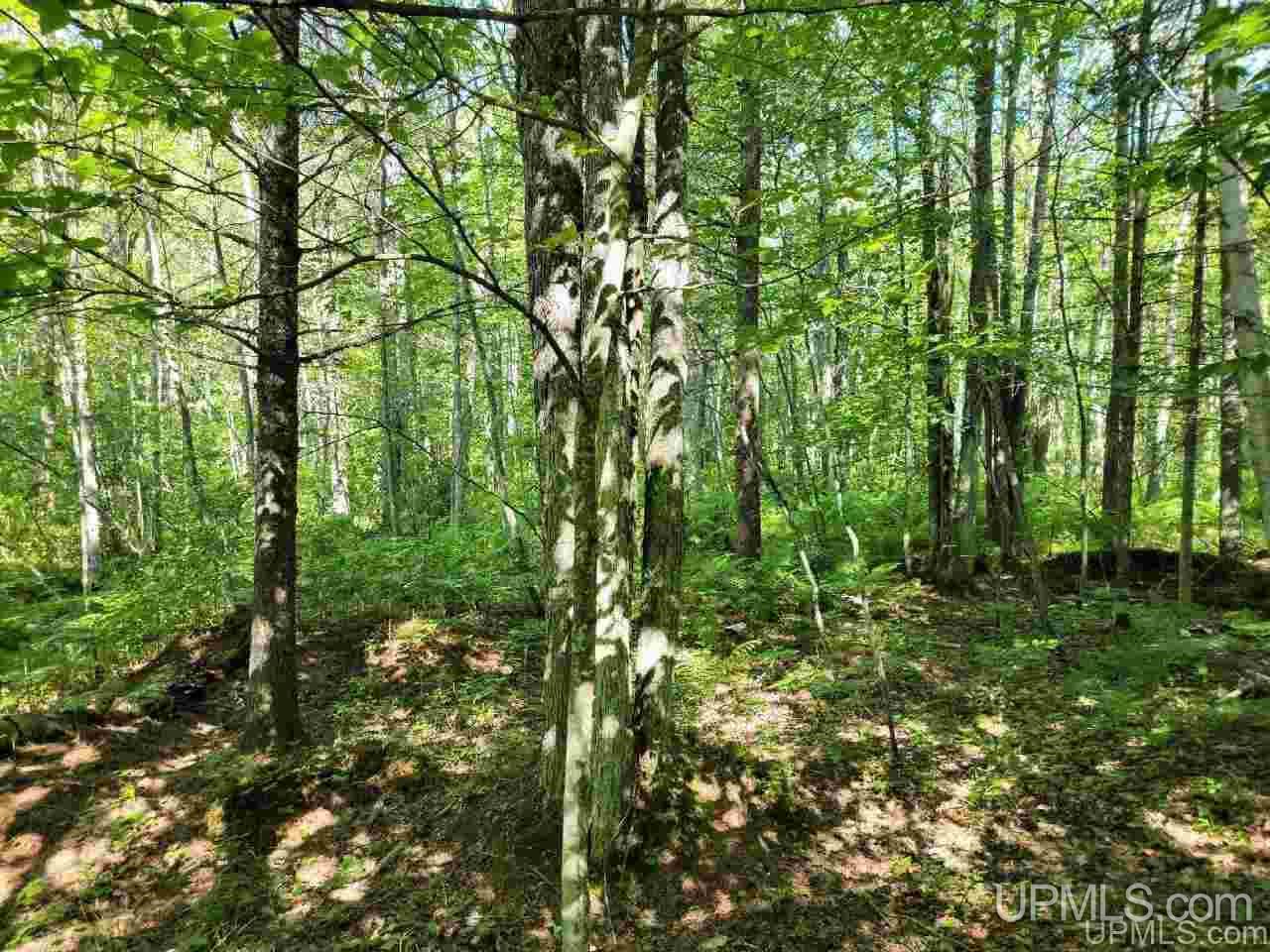 877 River Road Manistique, MI 49854 - Photo 46 of 49 Gallery Image 46