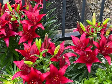 $669,000 | 15024 Halifax Court, Westfield, IN 46074