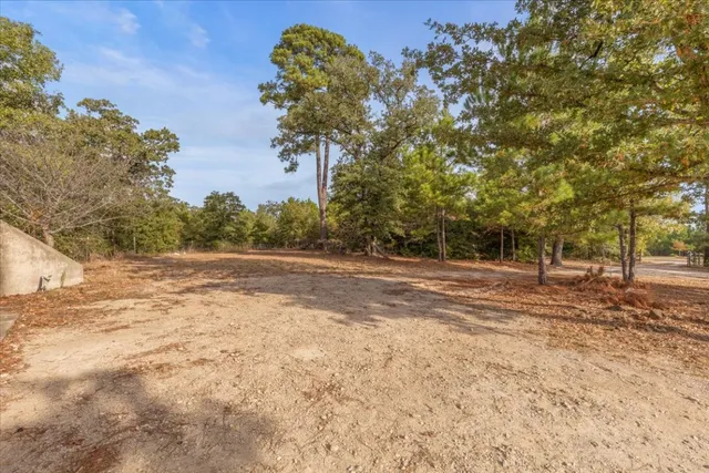 a view of dirt field with trees around