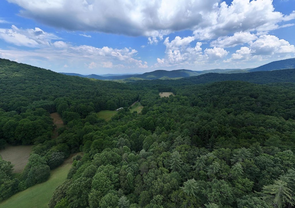 550 Watson Road Epworth, GA 30541 - Photo 62 of 63 a view of a city with lots of green space