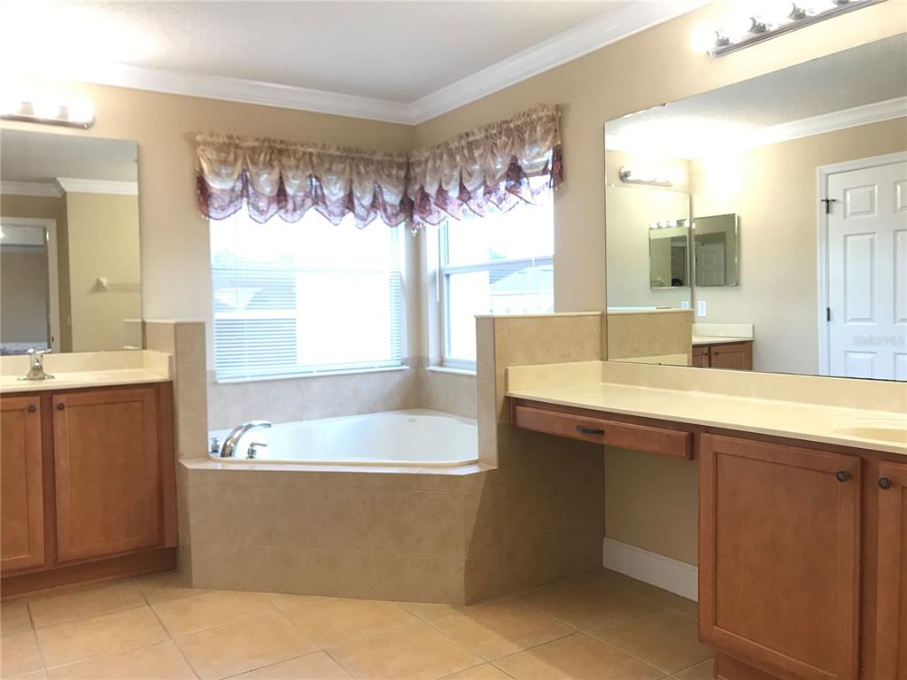 10505 Willow Ridge Loop Orlando, FL 32825 - Photo 27 of 45 a bathroom with a bathtub sink and mirror