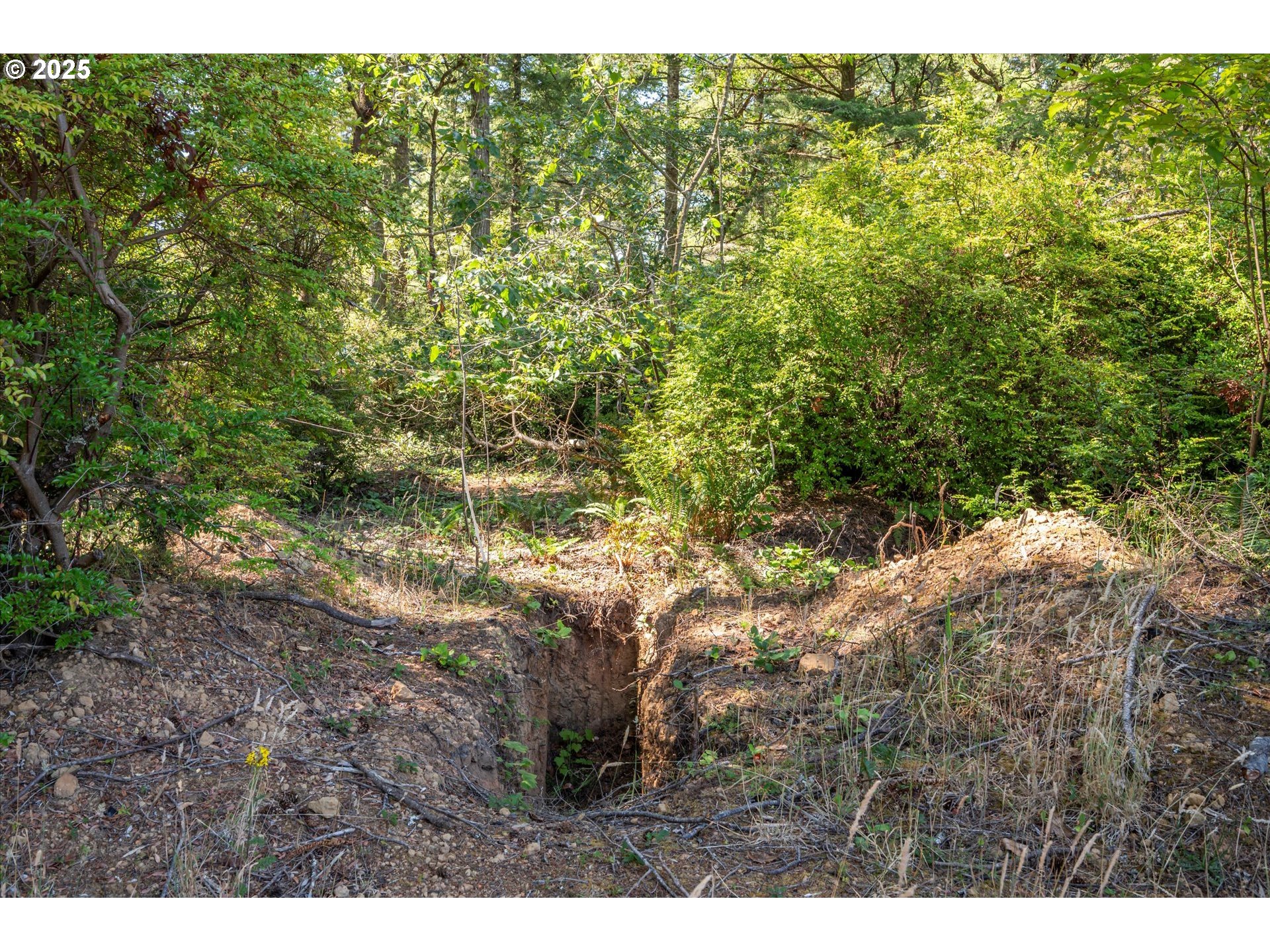 46963 Highway 101 Bandon, OR 97411 - Photo 19 of 21