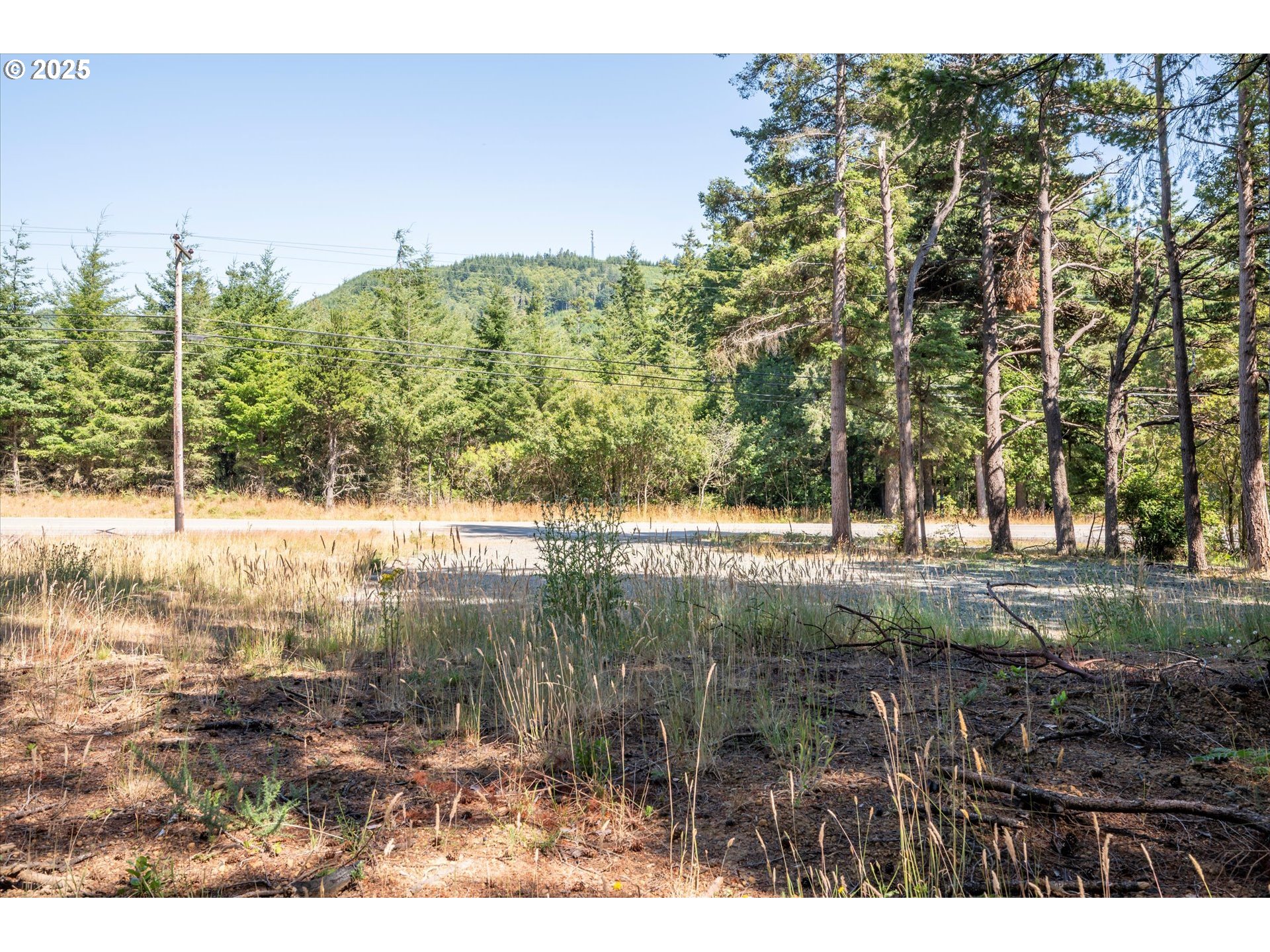 46963 Highway 101 Bandon, OR 97411 - Photo 4 of 21