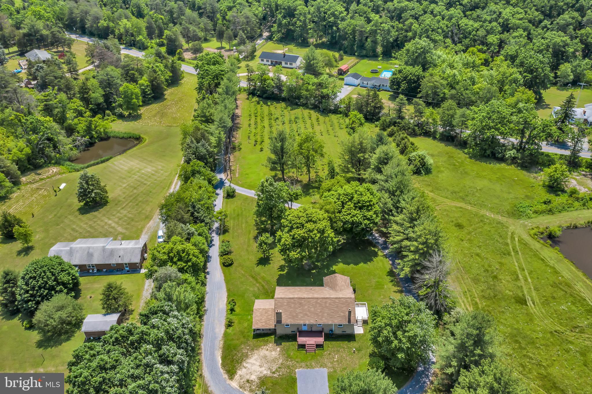 640 Back Mountain Road Winchester, VA 22602 - Photo 4 of 39 Gallery Image 4