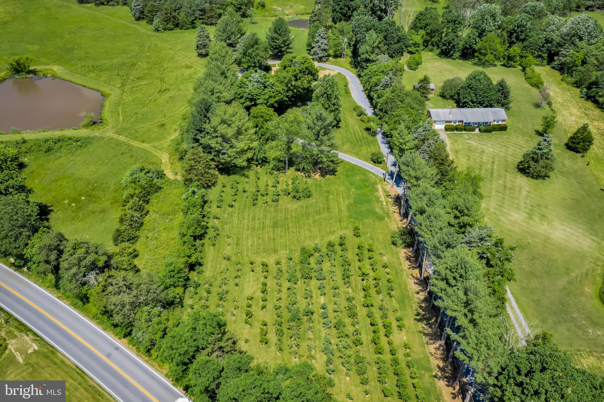 640 Back Mountain Road Winchester, VA 22602 - Photo 7 of 39 Gallery Image 7
