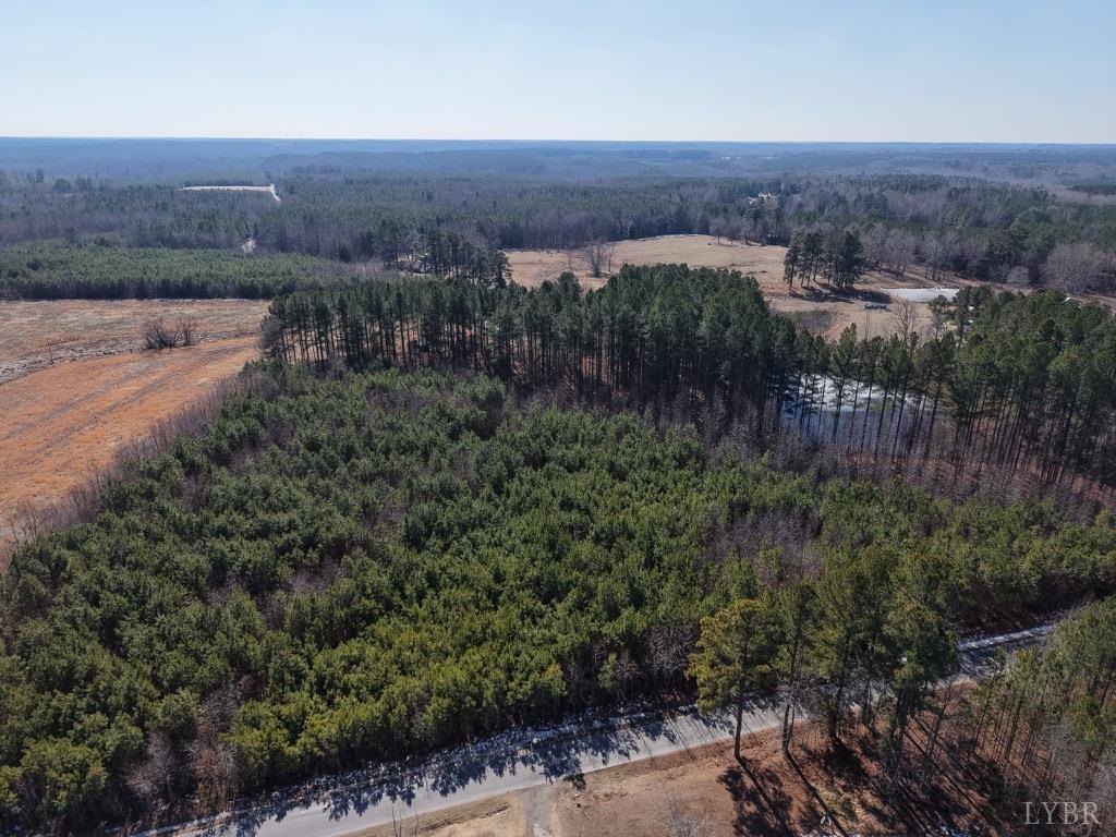 8 Sturgeon Road Dolphin, VA 23843 - Photo 4 of 8