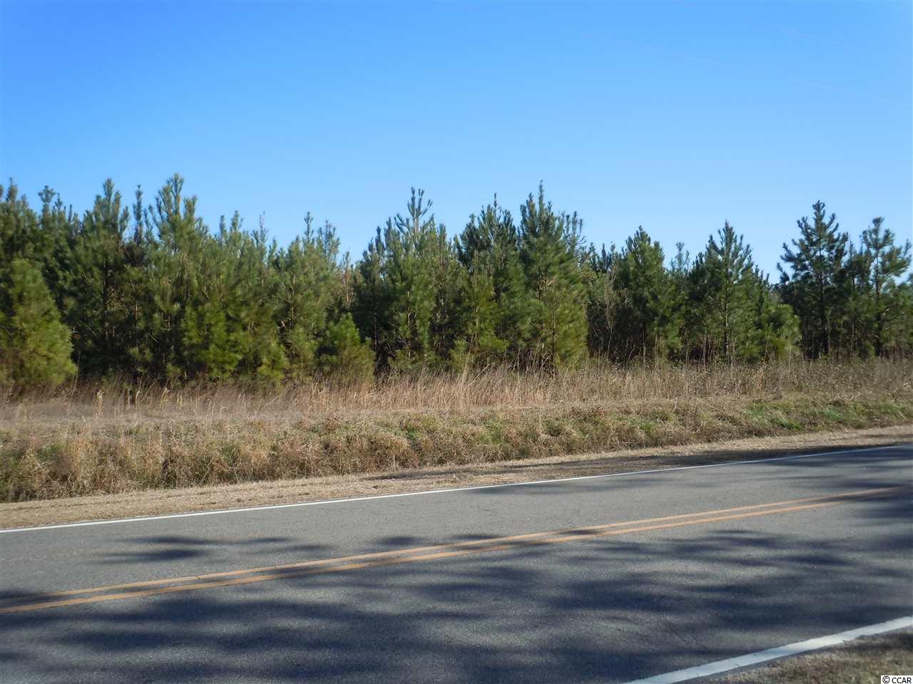 1465 Wright Road Tabor City, NC 28463 - Photo 1 of 2 Gallery Image 1