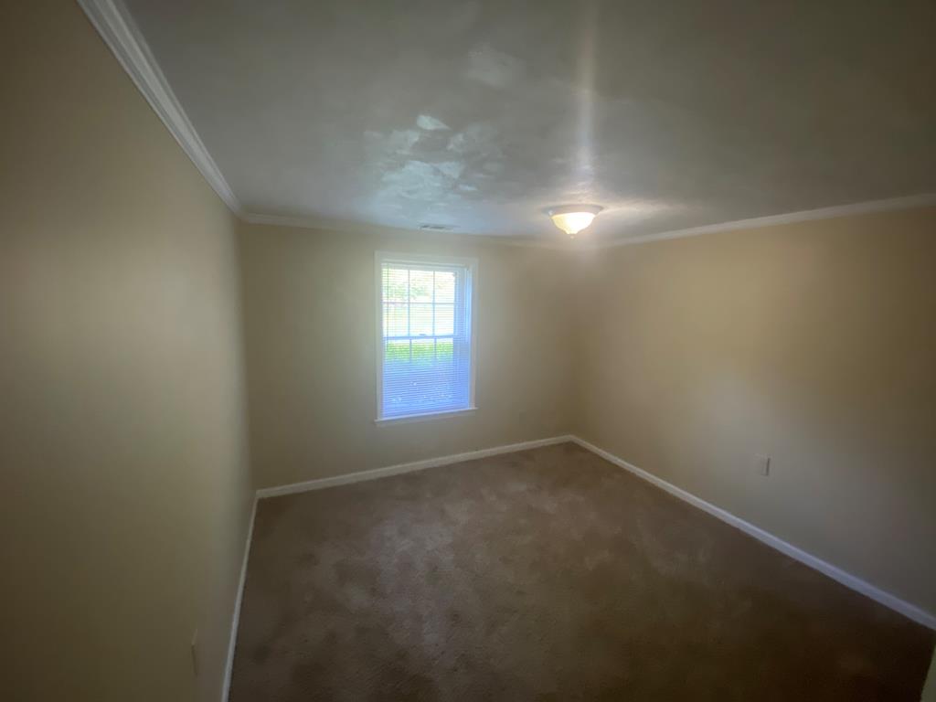 12165 Warm Springs Road Ellerslie, GA 31807 - Photo 13 of 15